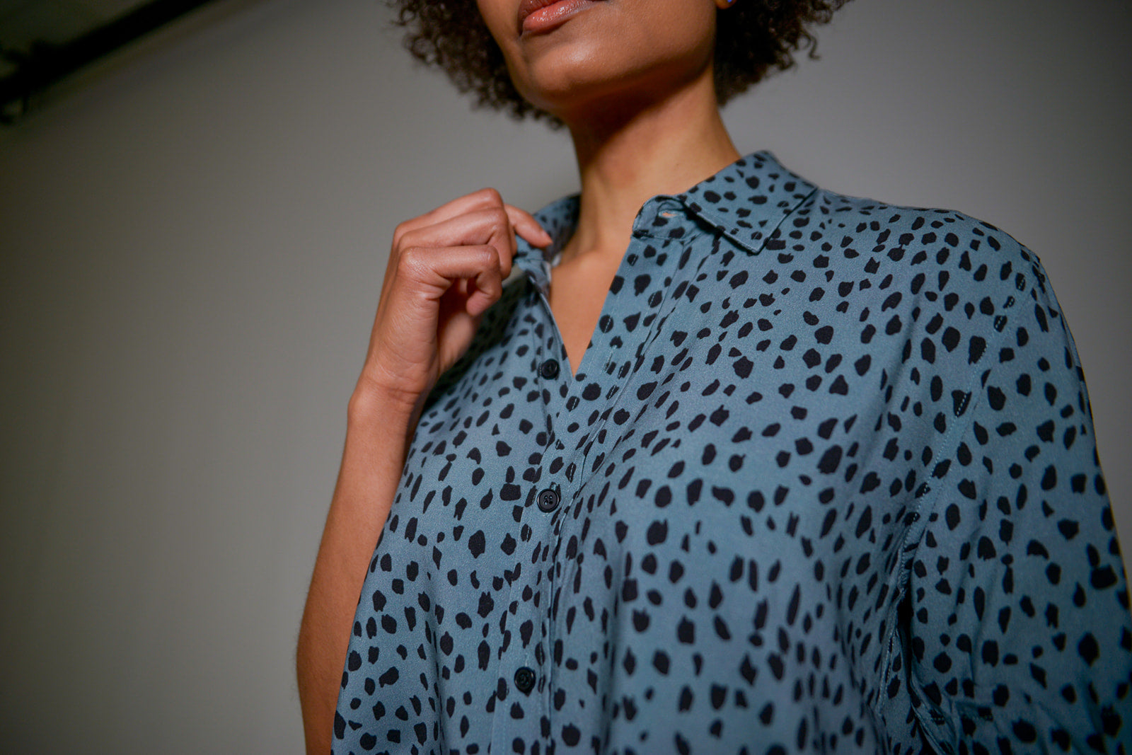 Wild Cheetah