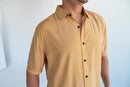 Bolonia Gold